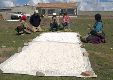 yak cheese Tibet Spring Brook Ranch